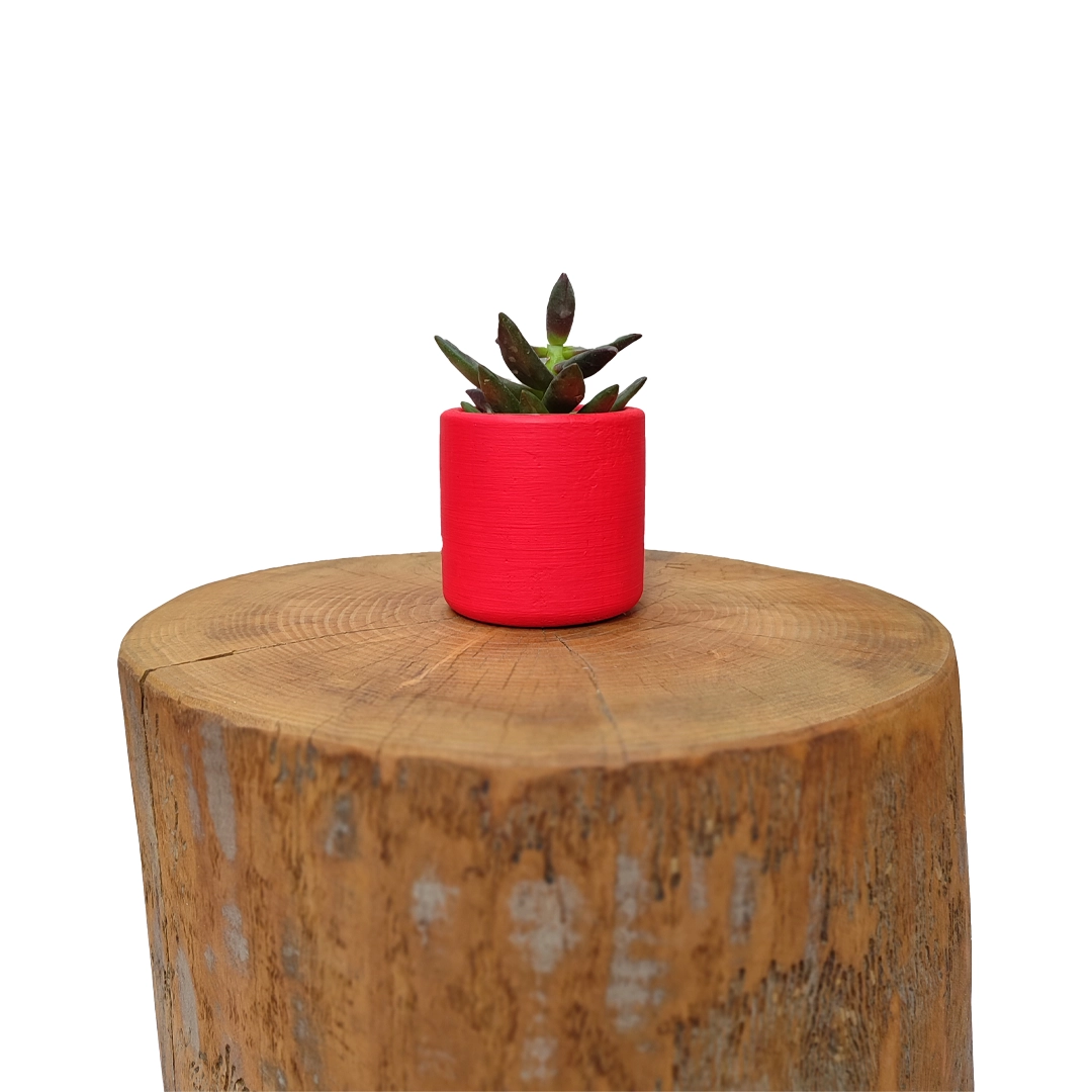 Kırmızı Renkli Mini Sukulent Saksı