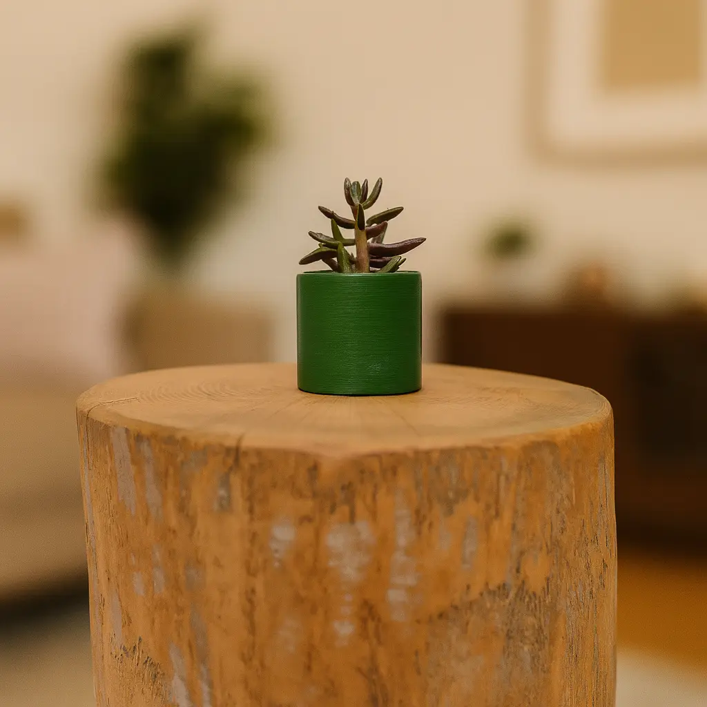 Yeşil Renkli Mini Sukulent Saksı