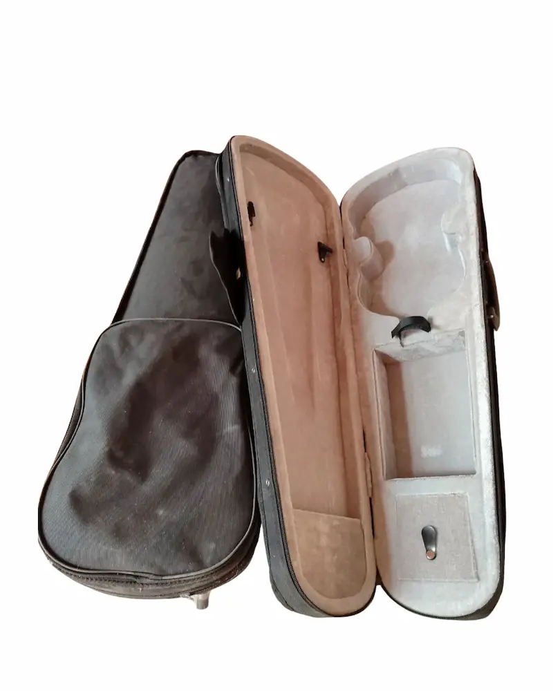 Muhtelif Keman Çantaları