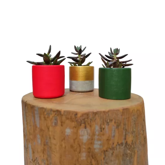 Yılbaşı Temalı Mini Sukulent Seti | Mettas.shop