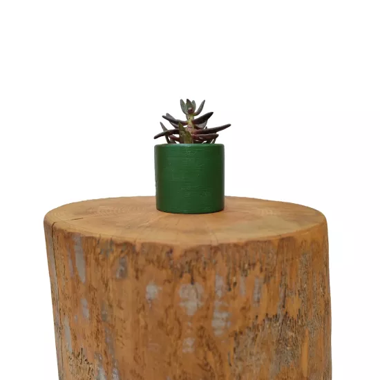 Yeşil Mini Sukulent Saksı | Mettas.shop