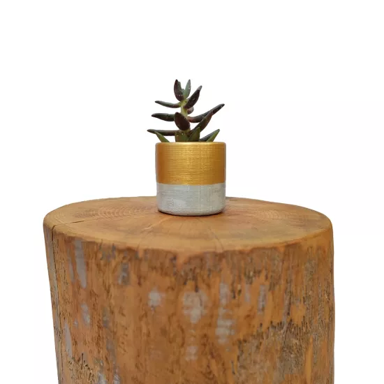 Altın Gümüş Mini Sukulent Saksı | Mettas.shop