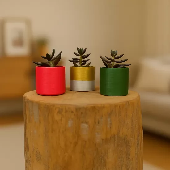 Yılbaşı Temalı Mini Sukulent Seti | Mettas.shop