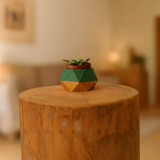 Yeşil Altın Geometrik Mini Sukulent Saksı | Mettas.shop